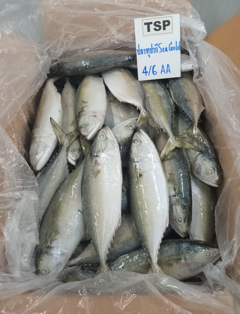 Seafood