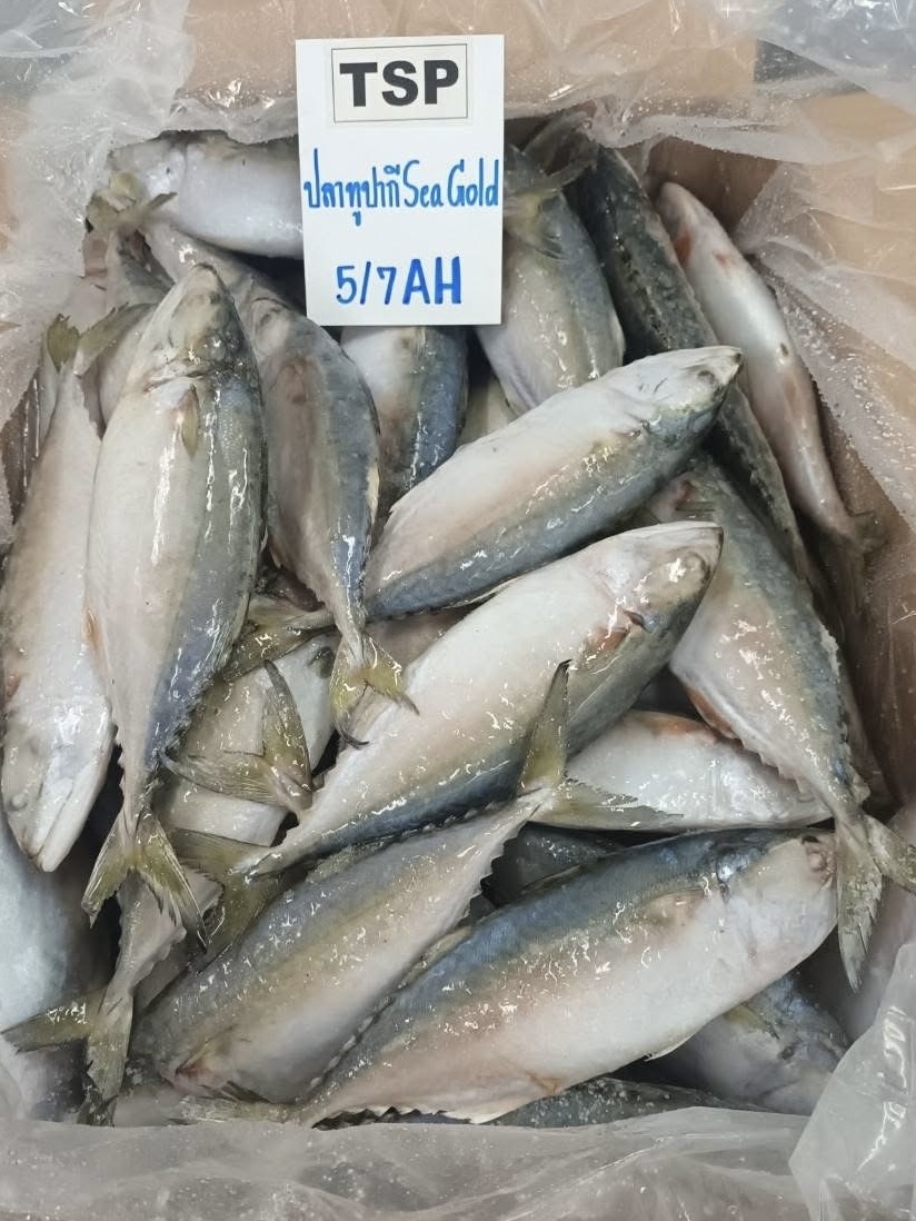 Seafood