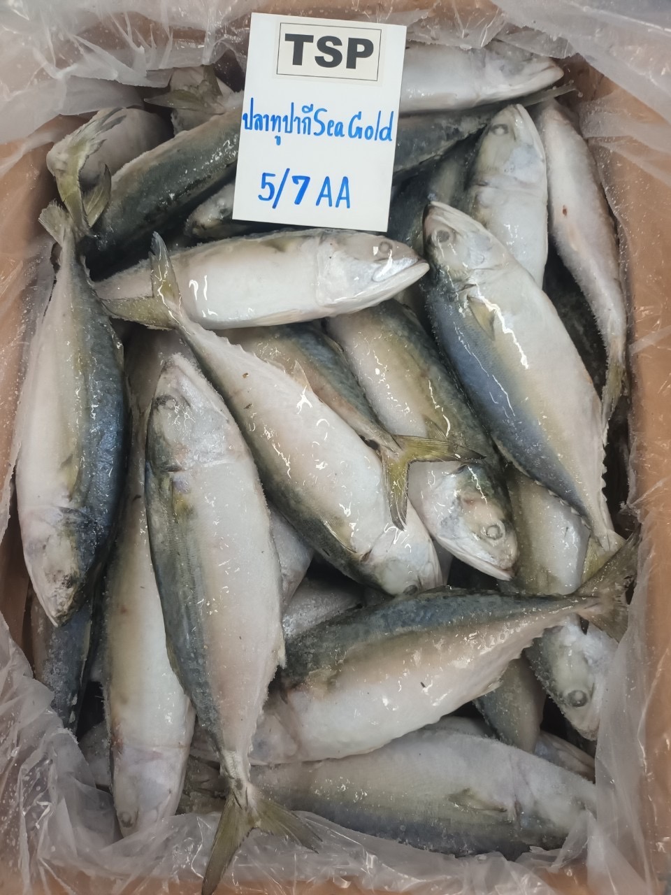 Seafood