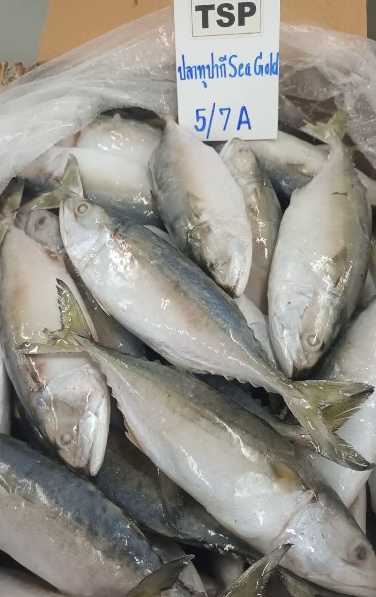 Seafood