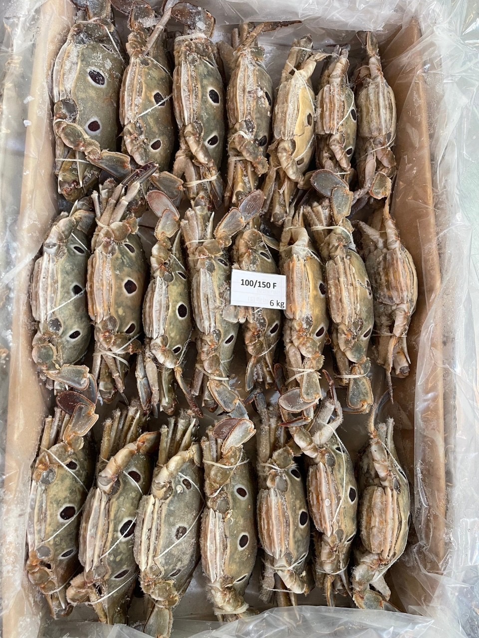 Seafood