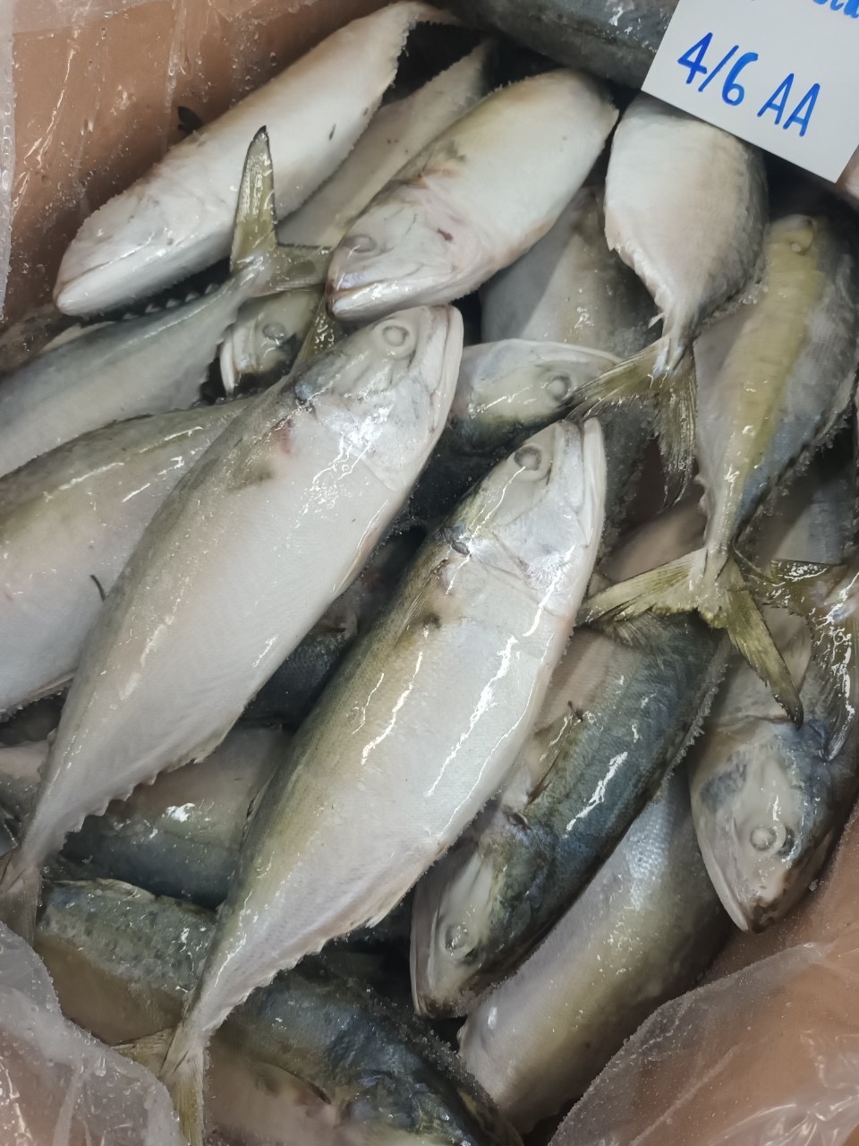 Seafood